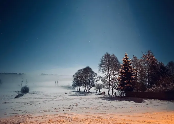Domek Leśne Zacisze