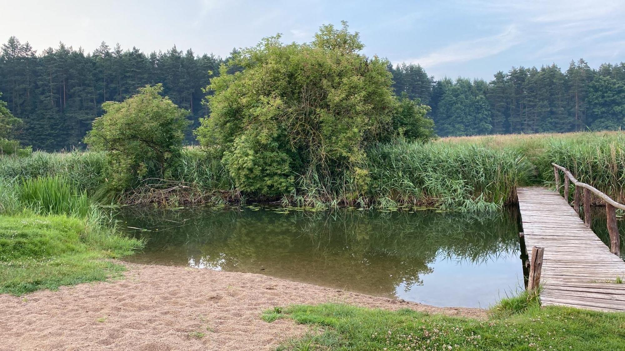 Dom wakacyjny Leśne Zacisze